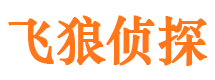 寒亭市私人侦探